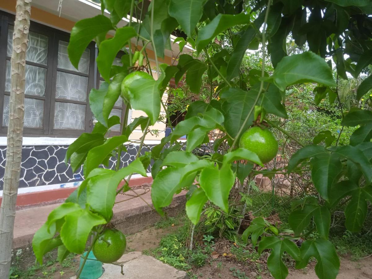 Sanaya Homestay 坦加拉 外观 照片